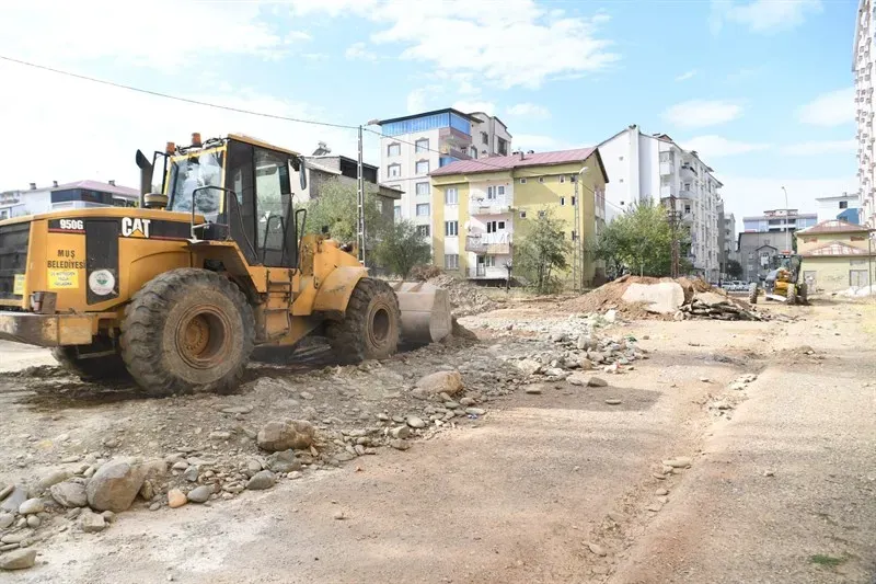 Muş
