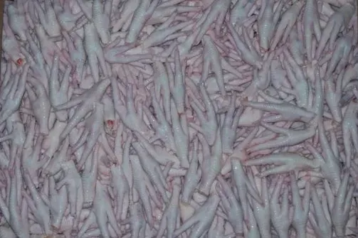 Kanatlı sektörü, Çin’e tavuk ayağı iznini bekliyor