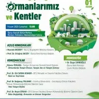 İklim Değişikliği ve Ormanlar Bursa