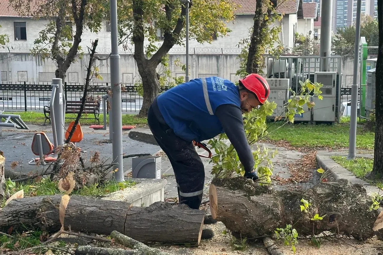 İstanbul Bakırköy