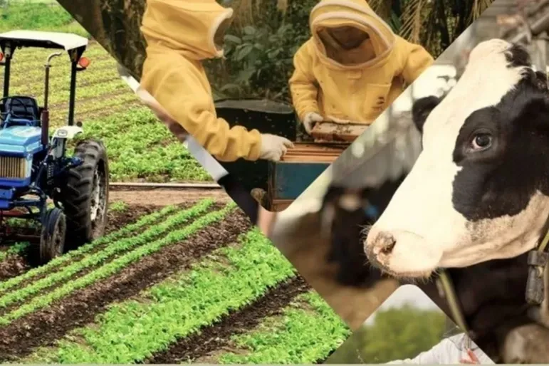 Çiftçiye 1,5 milyar TL destek hesaplarda