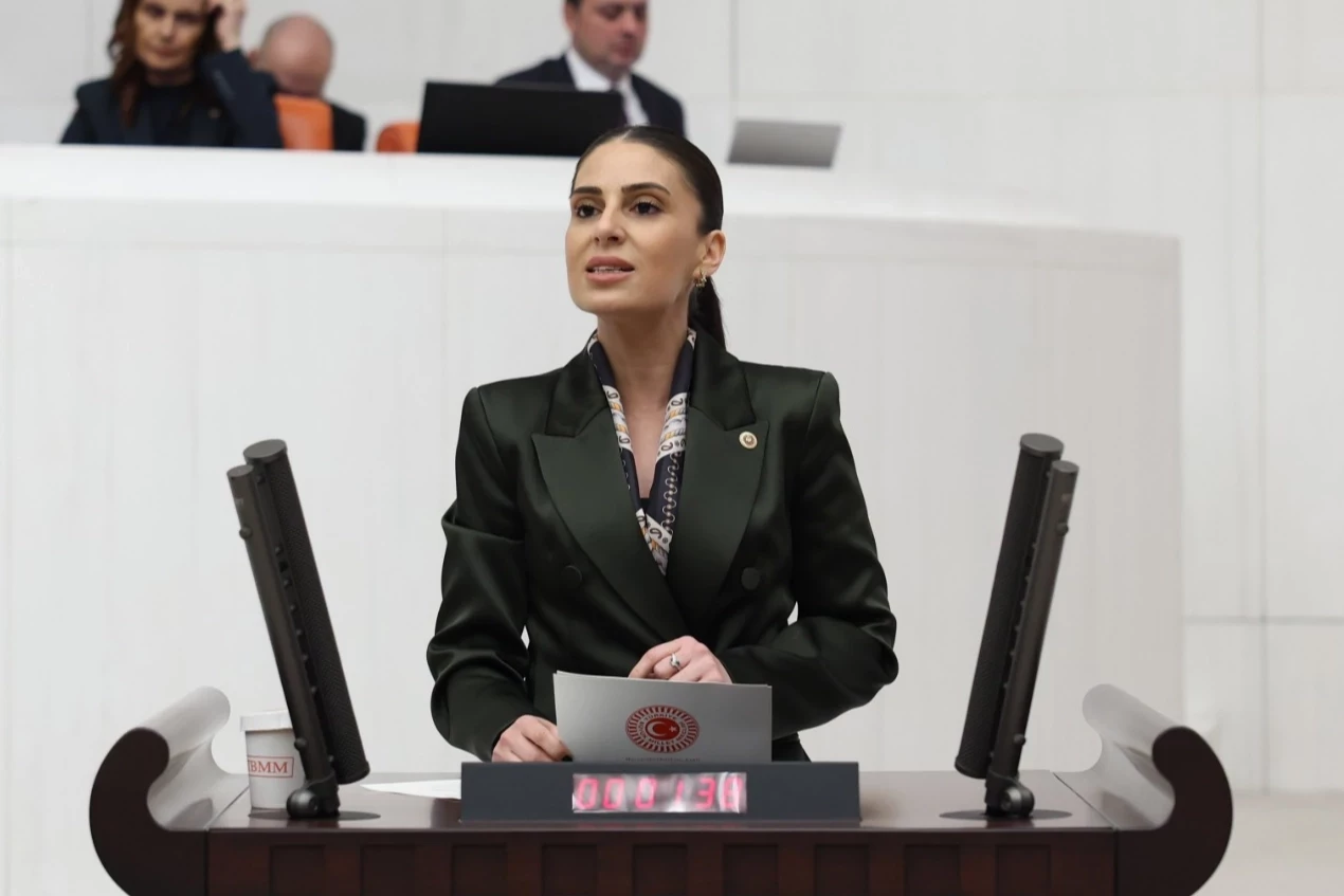 Milletvekili Özcan