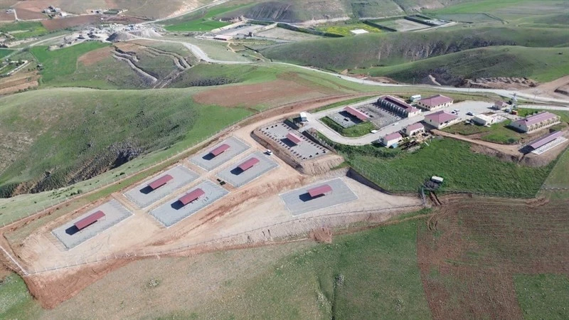 SİİRT, SAHİPSİZ HAYVAN SORUNUNU ÇÖZEN İLK İLLERDEN BİRİ OLDU