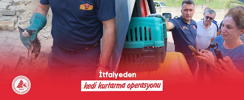 İtfaiyeden kedi kurtarma operasyonu