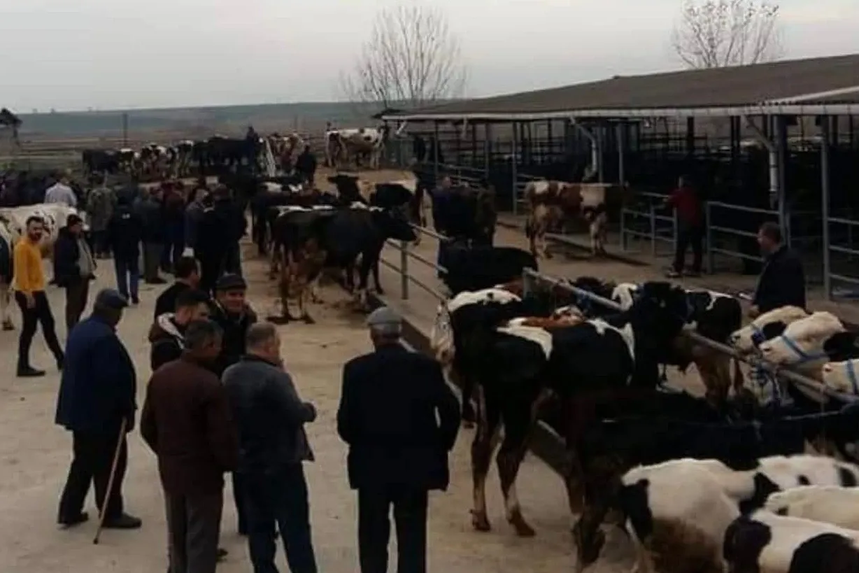 Edirne Keşan